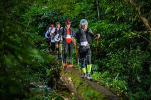 BIB: 
                            <button type="button" onclick="openModal(18923123)" class="btn btn-primary btn-sm float-right btn-popup" data-toggle="modal" data-target=".modal-high-quality">
                        <i class="fas fa-shopping-cart"></i> Add to Cart
                    </button>
                                            <button type="button" onclick="isThisMe(18923123, true)" class="btn btn-success btn-sm float-right btn-popup btn-isme hidden" data-toggle="tooltip" data-placement="bottom" title="นี่คือรูปของคุณใช่ไหม คลิกที่นี่เพื่อเอาเข้าอัลบั้ม">
                        <i class="fas fa-plus"></i> Add to album
                    </button>
                    <button type="button" onclick="isThisMe(18923123, false)" class="btn btn-warning btn-sm float-right btn-popup btn-isnotme hidden">
                        <i class="fas fa-ban"></i> Remove from album
                    </button>